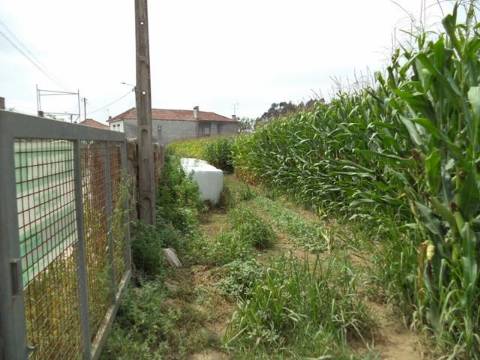 Terreno com viabilidade de construção | Gião, Vila Do Conde