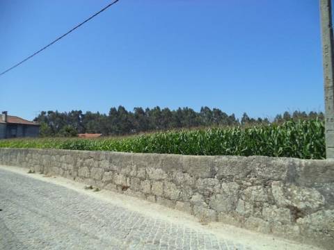 Terreno com viabilidade de construção | Gião, Vila Do Conde
