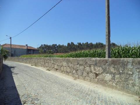 Terreno com viabilidade de construção | Gião, Vila Do Conde