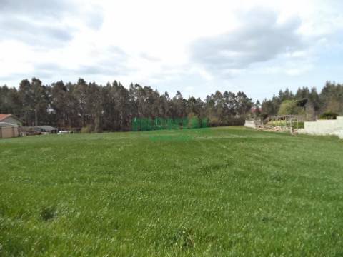 Terreno com viabilidade de construção | Gião, Vila Do Conde