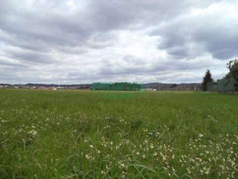 Terreno com viabilidade de construção | Gião, Vila Do Conde