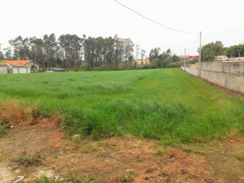 Terreno com viabilidade de construção | Gião, Vila Do Conde