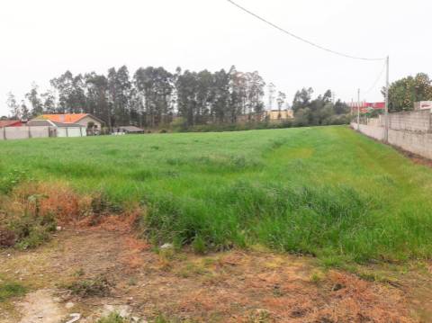 Terreno com viabilidade de construção | Gião, Vila Do Conde