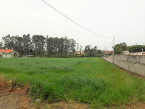 Terreno com viabilidade de construção | Gião, Vila Do Conde