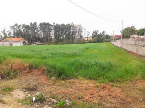 Terreno com viabilidade de construção | Gião, Vila Do Conde
