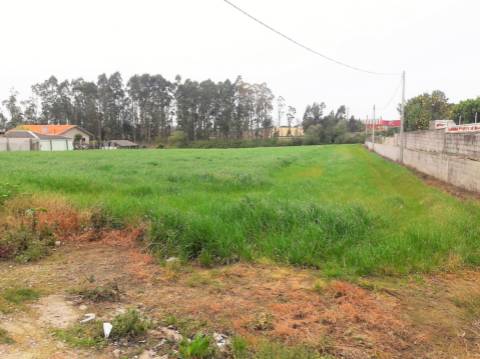 Terreno com viabilidade de construção | Gião, Vila Do Conde