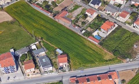 Terreno para Construção - 6.600 m² | São Romão do Coronado, Trofa