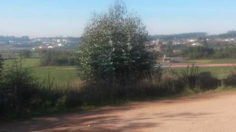 Terreno com 8.000 m² | São Romão Do Coronado, Trofa