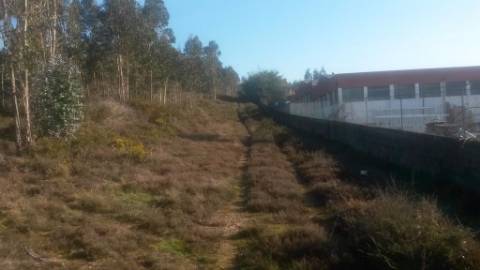 Terreno com 8.000 m² | São Romão Do Coronado, Trofa