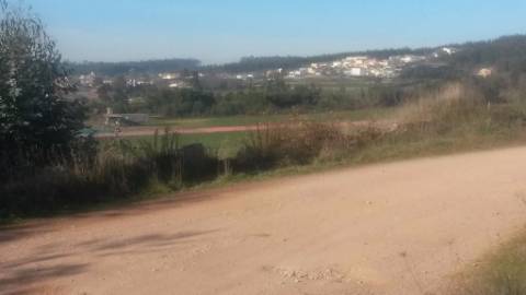 Terreno com 8.000 m² | São Romão Do Coronado, Trofa