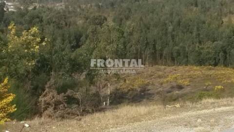 Terreno Industrial - 9.999 m² | Zona Industrial de Campo, Valongo