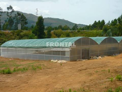 Quinta em Ponte de Lima