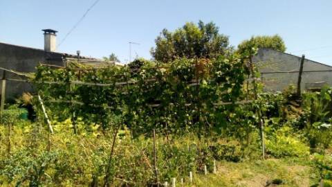 Excelente casa térrea e terreno