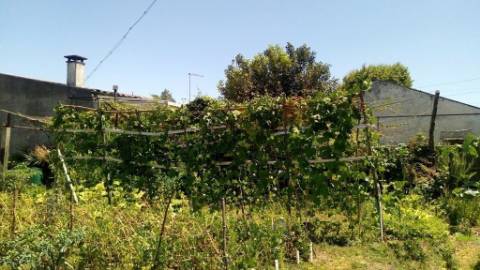 Excelente casa térrea e terreno