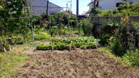 Excelente casa térrea e terreno