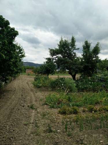 Quinta  Venda em Madalena e Samaiões,Chaves