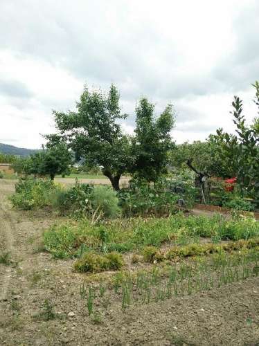 Quinta  Venda em Madalena e Samaiões,Chaves
