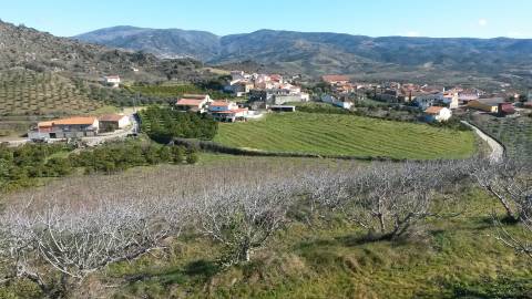 Herdade  Venda em Santa Comba de Vilariça,Vila Flor