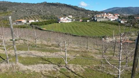 Herdade  Venda em Santa Comba de Vilariça,Vila Flor