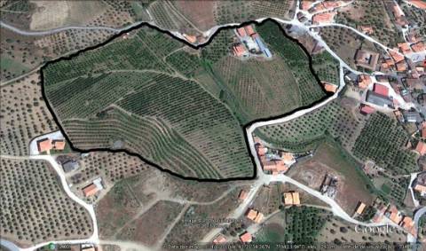 Herdade  Venda em Santa Comba de Vilariça,Vila Flor