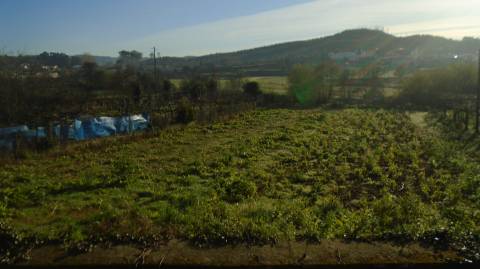 Terreno para Construção 1787.50m² Alfena