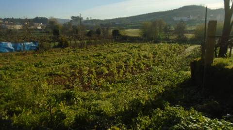 Terreno para Construção 1787.50m² Alfena