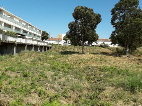Lote de Terreno  Venda em Milheirós,Maia