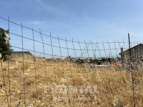 Conjunto de 3 Lotes para Construção | Excelente Oportunidade de Investimento