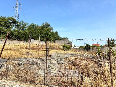 Conjunto de 3 Lotes para Construção | Excelente Oportunidade de Investimento