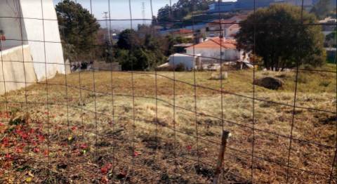 Terreno Urbano para Moradia | Pedroso, Vila Nova De Gaia