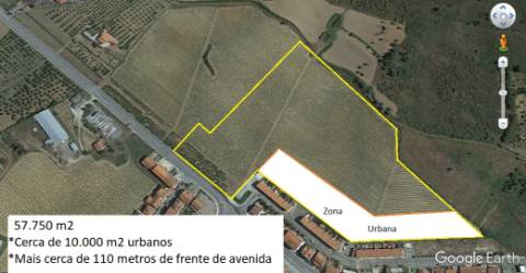 Terreno de 57.750 m² - 10.000 m² de Área Urbana | Centro de Vila Flor, Bragança