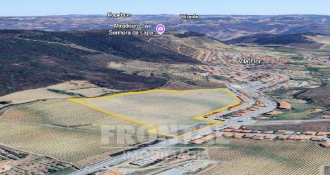 Terreno de 57.750 m² - 10.000 m² de Área Urbana | Centro de Vila Flor, Bragança
