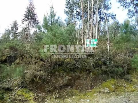 Terrenos em Penafiel