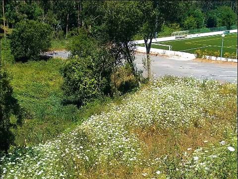 Terreno Para Construção com 2.400 m² - 4 Frentes | Azurara, Vila do Conde