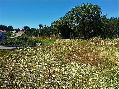 Terreno Para Construção com 2.400 m² - 4 Frentes | Azurara, Vila do Conde