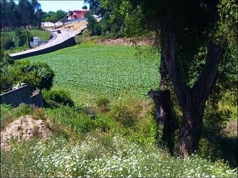 Terreno Para Construção com 2.400 m² - 4 Frentes | Azurara, Vila do Conde