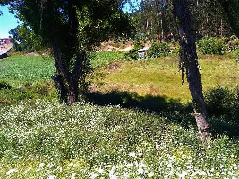 Terreno Para Construção com 2.400 m² - 4 Frentes | Azurara, Vila do Conde