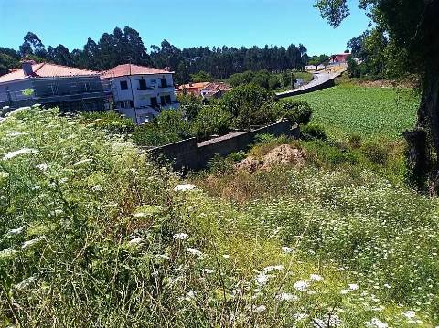 Terreno Para Construção com 2.400 m² - 4 Frentes | Azurara, Vila do Conde