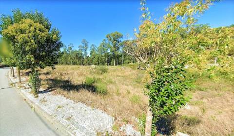 Lotes de Terreno em Fajões – Oliveira de Azeméis