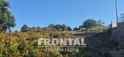 Terreno Urbano com 5 000 m² | Campanhã, Porto