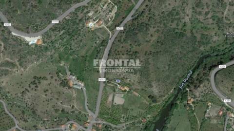 Terreno Rústico em Idanha-a-Nova - Oportunidade Única