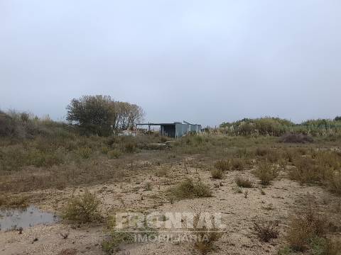 Terreno Industrial Plano – 7.200 m² | Perafita, Matosinhos