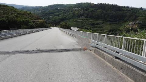 Terreno Misto  Venda em Santa Marinha do Zêzere,Baião