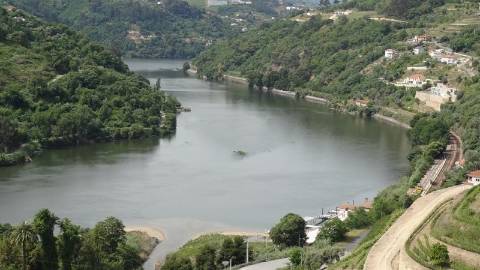 Terreno Misto  Venda em Santa Marinha do Zêzere,Baião