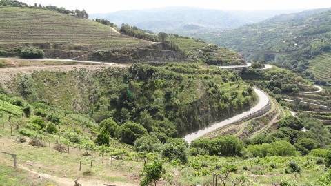 Terreno Misto  Venda em Santa Marinha do Zêzere,Baião