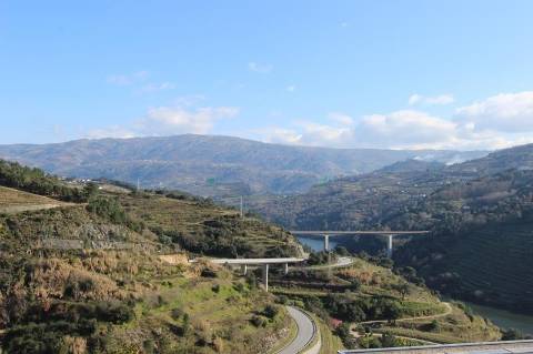 Terreno Misto  Venda em Santa Marinha do Zêzere,Baião