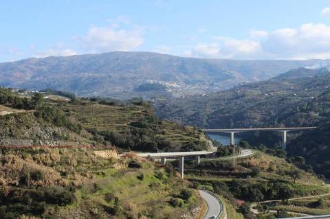 Terreno Misto  Venda em Santa Marinha do Zêzere,Baião