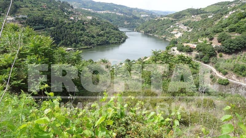 Terreno Único com Potencial Habitacional ou Agrícola | Santa Marinha do Zêzere, Baião