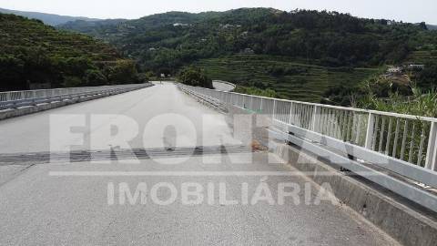 Terreno Único com Potencial Habitacional ou Agrícola | Santa Marinha do Zêzere, Baião
