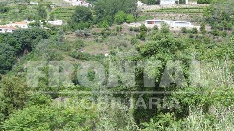 Terreno Único com Potencial Habitacional ou Agrícola | Santa Marinha do Zêzere, Baião